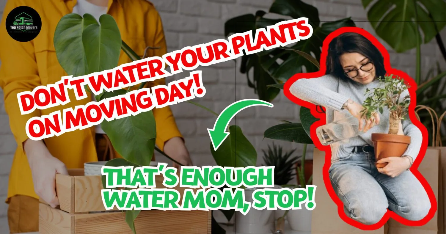 How Do You Keep Plants Alive When Moving?