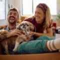 Packing hacks for smooth relocation
